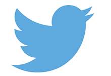 X- Twitter 投票 Poll Votes|分享|Click点击